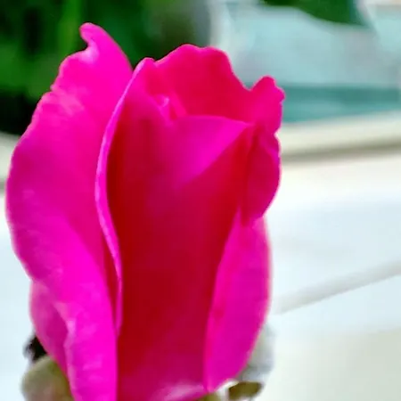 Nikolas House 펜션 기마리