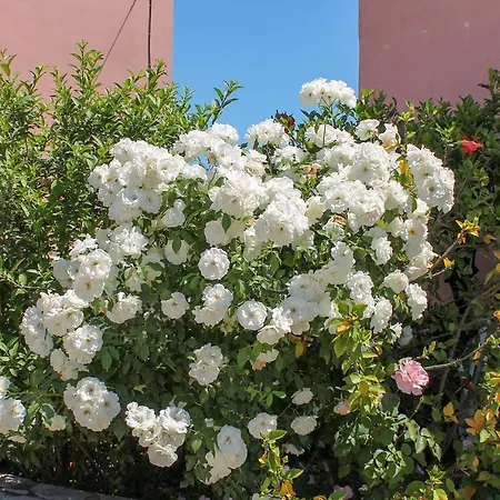 Nikolas House Casa vacanze