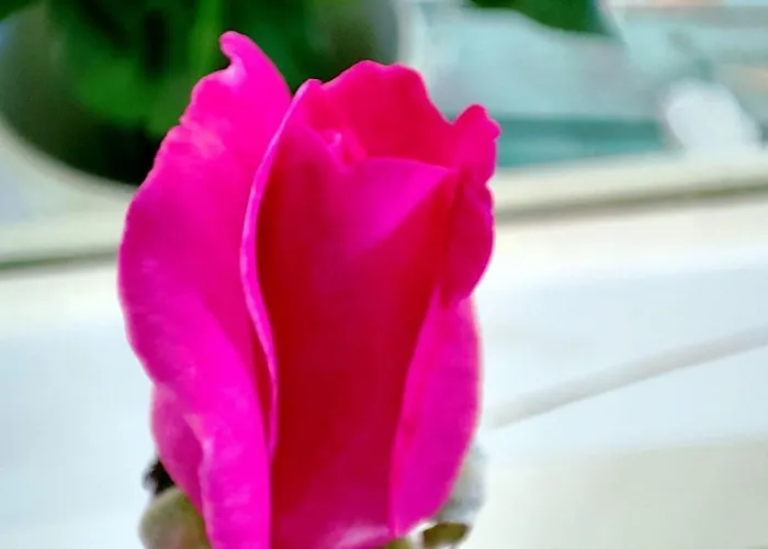 Nikolas House Дом отдыха Гимари