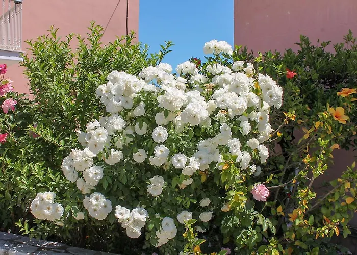 Nikolas House 度假居